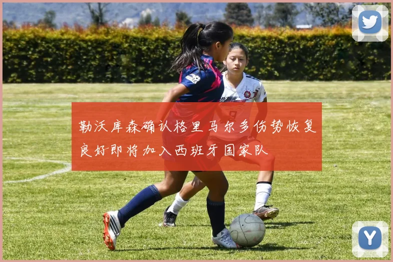 勒沃库森确认格里马尔多伤势恢复良好即将加入西班牙国家队