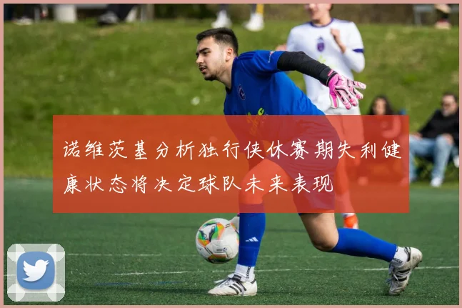 诺维茨基分析独行侠休赛期失利健康状态将决定球队未来表现