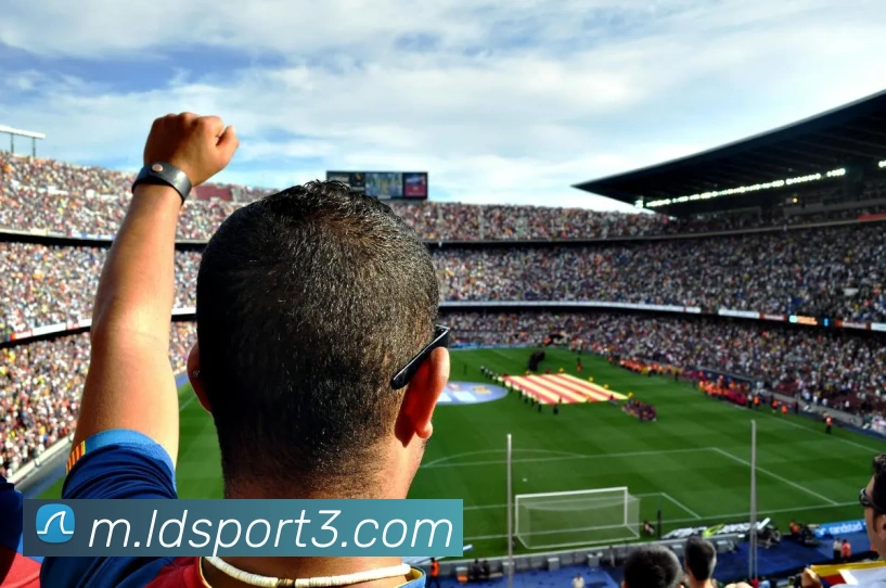 多媒体互动体验